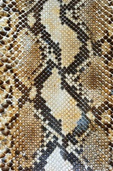 Snake skin pattern background