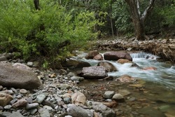Beautiful flowing creek water is natual tranquility in Chiricahua Mountains of Cave Creek Canyon in Portal, Arizona, USA