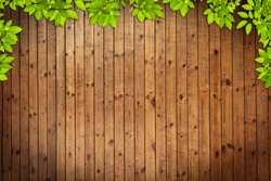 Old grunge Wood Texture with leaves use for background