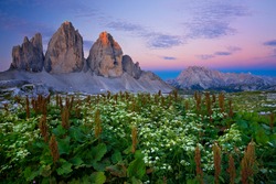 Tre Cime di Lavaredo (Drei Zinnen) sunset sunrise - Dolomite (Dolomites) - Italy (Italia)