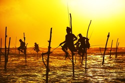 Silhouettes of the traditional fishermen at the sunset near Galle in Sri Lanka.  