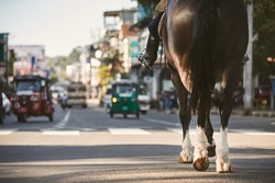 Horse of police patrol during traffic control in busy city center. Kandy in Sri Lanka.