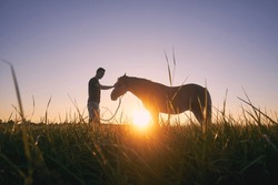 Silhousette of man while stroking of therapy horse on meadow at sunset. Themes hippotherapy, care and friendship between people and animals.