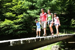 Family walking on a bridge in mountain forest