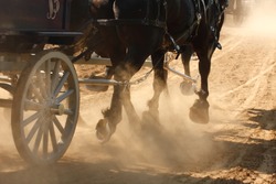 Draft horses pulling a wagon through a dusty field.