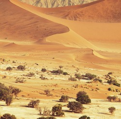 Sand dunes of Namibia