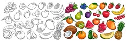 Fruit and berries drawn icons vector set. Illustration of colored and monochrome fruits for design farm product, market label vegetarian shop.