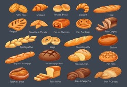 French bread bakery product set, colored vector illustration. Tabatiere, epi baguette, bagel and slices breads. Bake roll, pastry, pain au levain, petits pains and ets.