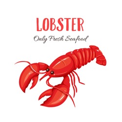 Lobster vector illustration in cartoon style. Seafood product design.