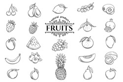 Vector hand drawn fruits icons set. Decorative retro style collection farm product restaurant menu, market label.