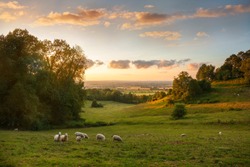 Sunset at Saintbury near Chipping Campden, Cotswolds, Gloucestershire, England