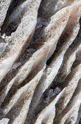 a wall of salt eroded by water