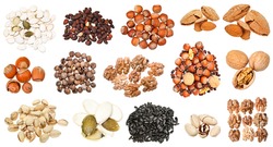set of various nuts (walnut, pumpkin, pine, pistachio, cedar, hazelnut, almond, sunflower, etc) isolated on white background