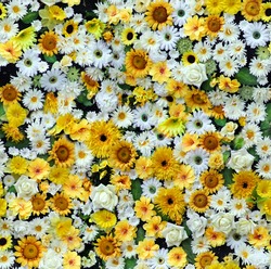 yellow white paper flowers seamless background pattern