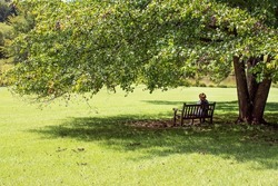 woman tourist in hat is resting on  bench in the shade of  tree in the park.