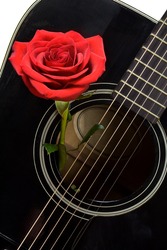 red rose positioned inside an old black acoustic guitar