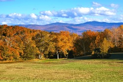 Beautiful autumn colors along a meadow in the Green Mountains  of Vermont, USA