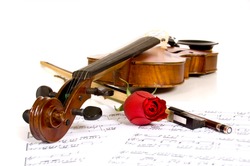 A violin a rose and sheet music on a white background, focus is on the peg head of the violin and the rose