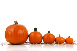 Assorted sizes of pumpkins with hay on a white background