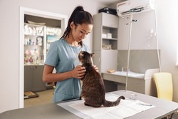 Asian woman veterinarian cuddles tabby cat at appointment in modern clinic