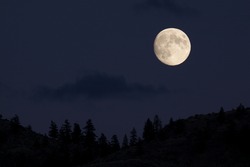Full Moon Rising over Coniferous Forest; Skyline Silhouette