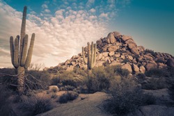Desert landscape in Scottsdale, Phoenix, Arizona area - Image cross processed