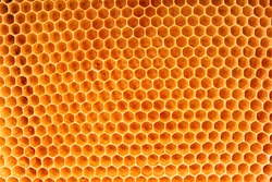 bee wax texture as very nice natural background