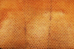 beeswax wirhout honey as very nice natural background