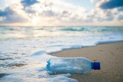 Used plastic water bottle washed up on the shore of a tropical beach, highlighting the worldwide crisis of plastic pollution on even the most remote islands