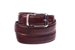Belt male leather.The fashionable accessory is twisted on a white background.With a metal buckle.Natural animal skin.