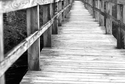 Black and White wooden walkway