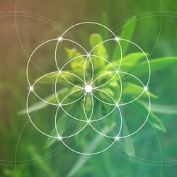 Sacred geometry. Mathematics, nature, and spirituality in nature. Fibonacci row. The formula of nature. The Eternity symbol and interlocking geometric shapes.
