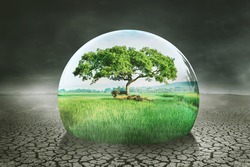 Close up of a drop water with green trees and farmland on dried soil. Global warming concept