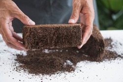 Coco peat for gardening. Coco peat is growing medium made out of coconut husk.
