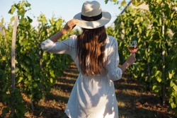 Portrait of a gorgeous brunette woman having wine fun in the vineyards.
