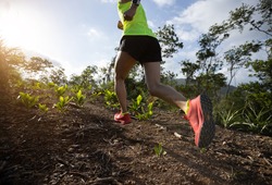 Woman trail runner running to sunrise tropical forest mountain top