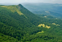 Large forest mountain valley from above