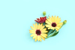 Top view image of yellow and purple chrysanthemum flowers composition over blue background. Flat lay