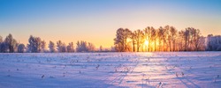 beautiful winter landscape panorama with sunrise. sun shines through trees in forest panoramic view