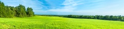 summer rural landscape a panorama with a field and the blue sky. agriculture