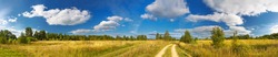 panorama rural summer landscape with a road, field and forest. summer day, blue sky with white clouds. rural path. panoramic view.