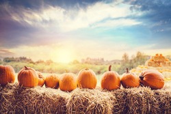 Halloween pumpkins on hay. Halloween and Thanksgiving theme