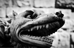 Ancient style sculpture of angry wolf in Florence, Italy. Black and white, head close-up
