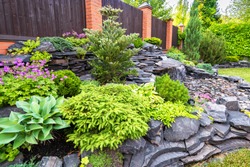 Landscape design in home garden close-up, beautiful landscaped garden with plants, bush, rocks and small fountain. Nice landscaping of residential house backyard in summer. Nature and stones theme.