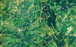 Nature pattern on satellite photo, topography. Aerial view of green Earth surface as abstract texture background. Forest or jungle taken from space in summer. Elements of this image furnished by NASA.
