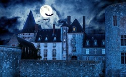 Haunted Gothic castle at night, old spooky house in full moon. Dark creepy mystic castle with bats, scary gloomy mansion on Halloween in dramatic blue light. Mystery, horror, dusk and terror concept.
