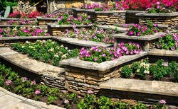 Landscaping with retaining walls and flowerbeds in residential house backyard. Landscape design of upscale home garden in summer. Flowers and plants on nice floral terraces in landscaped yard. 
