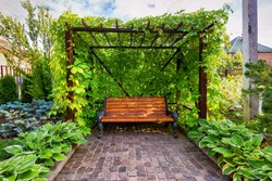 Bench in arbor overgrown with ivy, beautiful home garden. Stone paving in flower garden, landscape design of backyard. Nice landscaping with cozy canopy, concept of house rest, green garden and nature