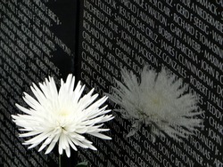 Vietnam Memorial 3/4 scale
