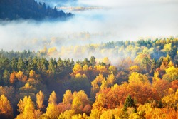 Breathtaking panoramic aerial view of the hills of colorful red, orange and yellow trees in a mixed coniferous forest in a morning fog. Fairy autumn landscape. Gauja national park, Sigulda, Latvia
